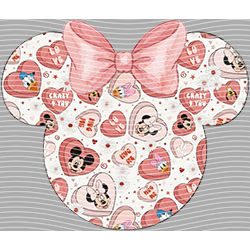 Princess-PR 2013
